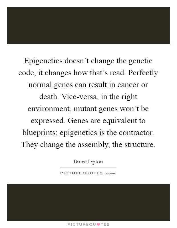 Epigenetics doesn't change the genetic code, it changes how that's read. Perfectly normal genes can result in cancer or death. Vice-versa, in the right environment, mutant genes won't be expressed. Genes are equivalent to blueprints; epigenetics is the contractor. They change the assembly, the structure. Picture Quote #1