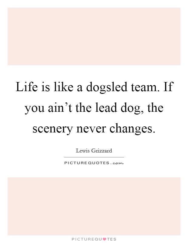 Life is like a dogsled team. If you ain't the lead dog, the scenery never changes. Picture Quote #1