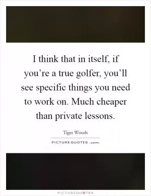 I think that in itself, if you’re a true golfer, you’ll see specific things you need to work on. Much cheaper than private lessons Picture Quote #1