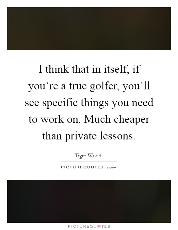 I think that in itself, if you're a true golfer, you'll see specific things you need to work on. Much cheaper than private lessons. Picture Quote #1