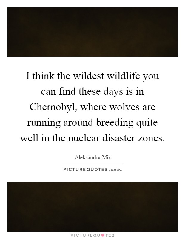 I think the wildest wildlife you can find these days is in Chernobyl, where wolves are running around breeding quite well in the nuclear disaster zones. Picture Quote #1