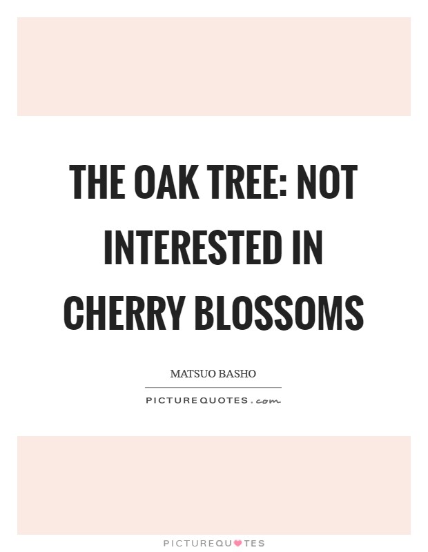 The oak tree: not interested in cherry blossoms Picture Quote #1