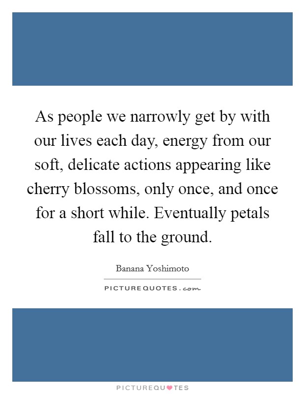 As people we narrowly get by with our lives each day, energy from our soft, delicate actions appearing like cherry blossoms, only once, and once for a short while. Eventually petals fall to the ground. Picture Quote #1