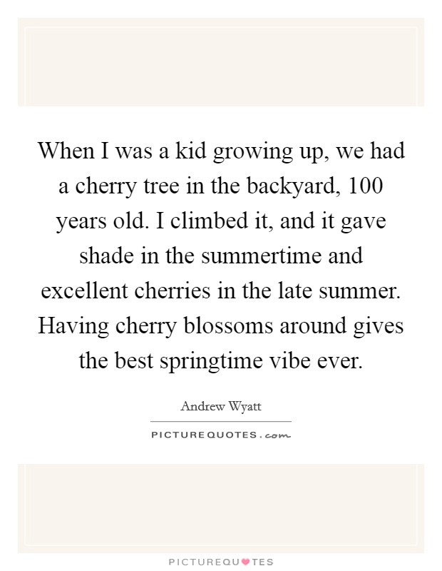 When I was a kid growing up, we had a cherry tree in the backyard, 100 years old. I climbed it, and it gave shade in the summertime and excellent cherries in the late summer. Having cherry blossoms around gives the best springtime vibe ever. Picture Quote #1