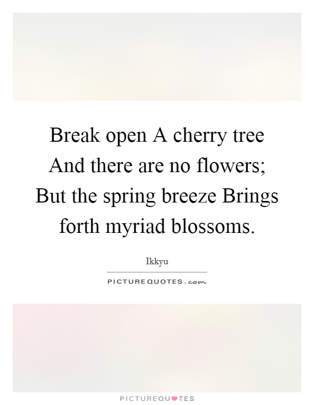 Break open A cherry tree And there are no flowers; But the spring breeze Brings forth myriad blossoms. Picture Quote #1