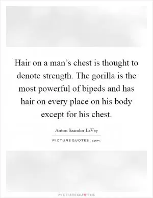 Hair on a man’s chest is thought to denote strength. The gorilla is the most powerful of bipeds and has hair on every place on his body except for his chest Picture Quote #1