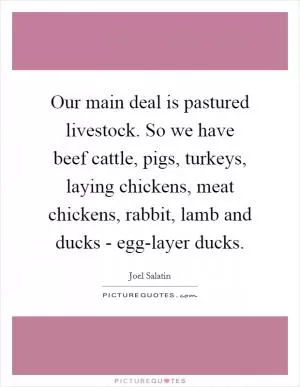 Our main deal is pastured livestock. So we have beef cattle, pigs, turkeys, laying chickens, meat chickens, rabbit, lamb and ducks - egg-layer ducks Picture Quote #1