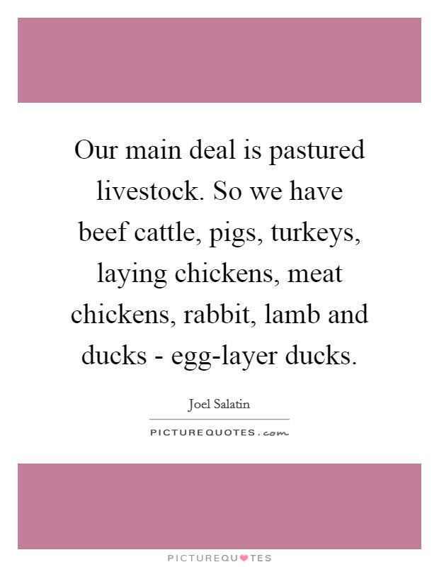 Our main deal is pastured livestock. So we have beef cattle, pigs, turkeys, laying chickens, meat chickens, rabbit, lamb and ducks - egg-layer ducks. Picture Quote #1