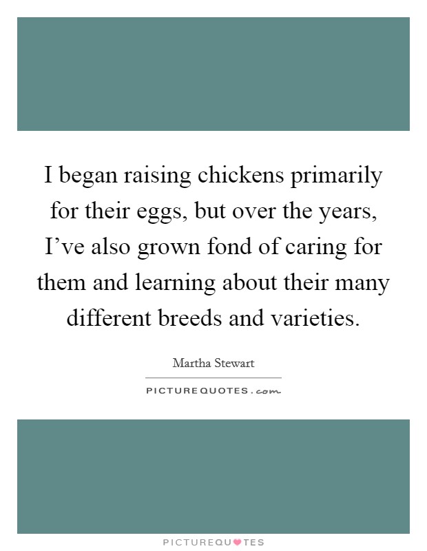 I began raising chickens primarily for their eggs, but over the years, I've also grown fond of caring for them and learning about their many different breeds and varieties. Picture Quote #1