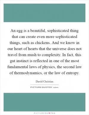 An egg is a beautiful, sophisticated thing that can create even more sophisticated things, such as chickens. And we know in our heart of hearts that the universe does not travel from mush to complexity. In fact, this gut instinct is reflected in one of the most fundamental laws of physics, the second law of thermodynamics, or the law of entropy Picture Quote #1
