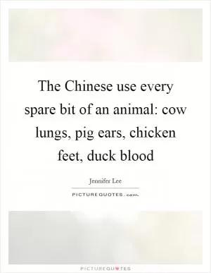 The Chinese use every spare bit of an animal: cow lungs, pig ears, chicken feet, duck blood Picture Quote #1