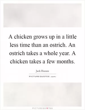 A chicken grows up in a little less time than an ostrich. An ostrich takes a whole year. A chicken takes a few months Picture Quote #1