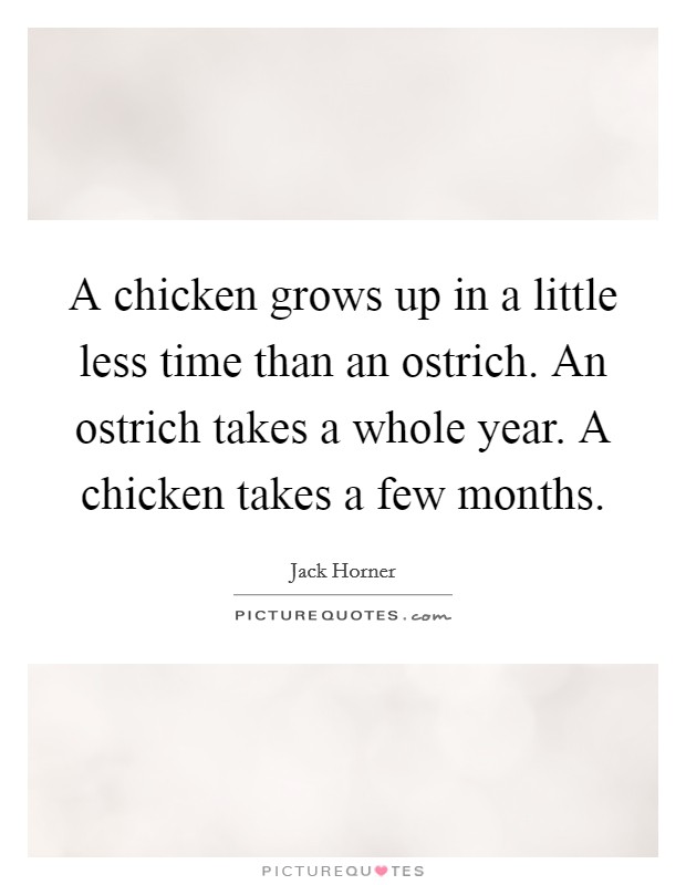 A chicken grows up in a little less time than an ostrich. An ostrich takes a whole year. A chicken takes a few months. Picture Quote #1