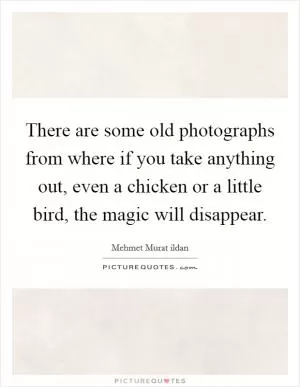There are some old photographs from where if you take anything out, even a chicken or a little bird, the magic will disappear Picture Quote #1
