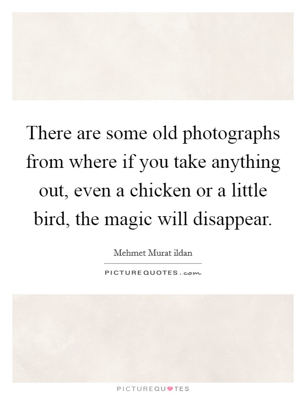There are some old photographs from where if you take anything out, even a chicken or a little bird, the magic will disappear. Picture Quote #1