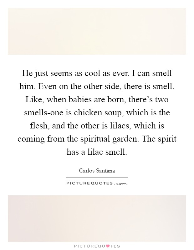 He just seems as cool as ever. I can smell him. Even on the other side, there is smell. Like, when babies are born, there's two smells-one is chicken soup, which is the flesh, and the other is lilacs, which is coming from the spiritual garden. The spirit has a lilac smell. Picture Quote #1