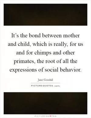 It’s the bond between mother and child, which is really, for us and for chimps and other primates, the root of all the expressions of social behavior Picture Quote #1