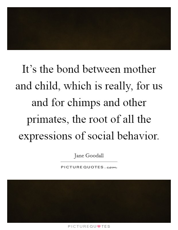It's the bond between mother and child, which is really, for us and for chimps and other primates, the root of all the expressions of social behavior. Picture Quote #1