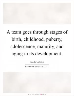 A team goes through stages of birth, childhood, puberty, adolescence, maturity, and aging in its development Picture Quote #1