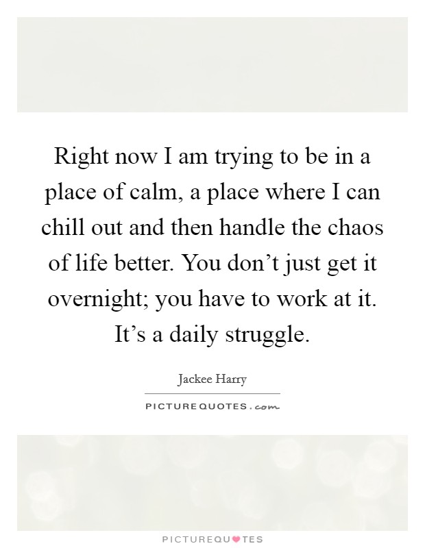 Right now I am trying to be in a place of calm, a place where I can chill out and then handle the chaos of life better. You don't just get it overnight; you have to work at it. It's a daily struggle. Picture Quote #1