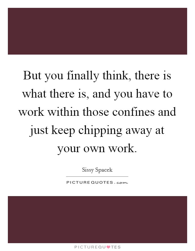 But you finally think, there is what there is, and you have to work within those confines and just keep chipping away at your own work. Picture Quote #1