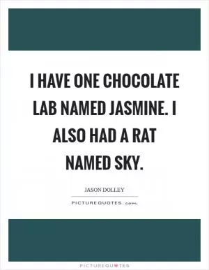I have one chocolate Lab named Jasmine. I also had a rat named Sky Picture Quote #1