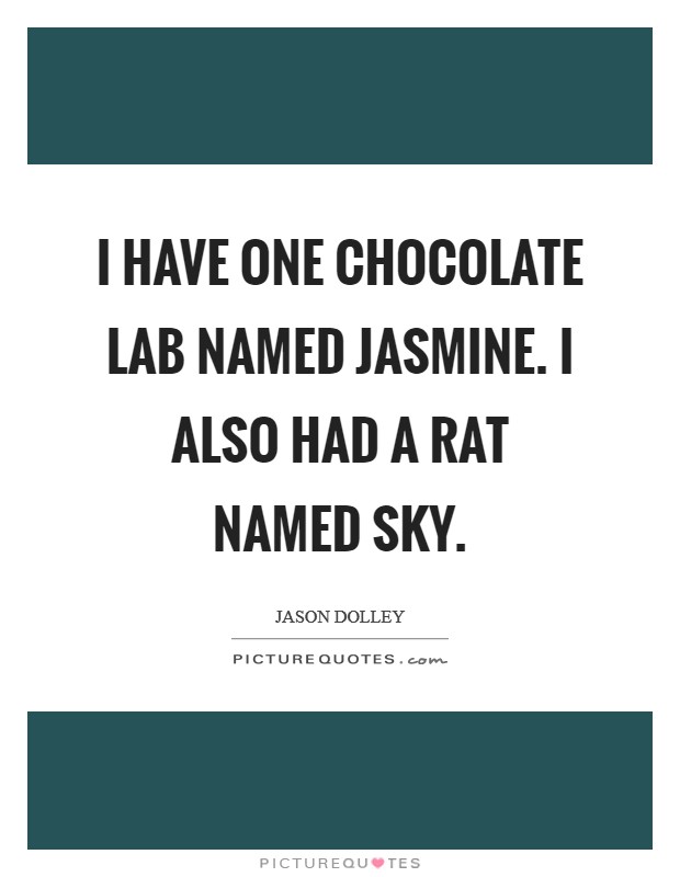 I have one chocolate Lab named Jasmine. I also had a rat named Sky. Picture Quote #1