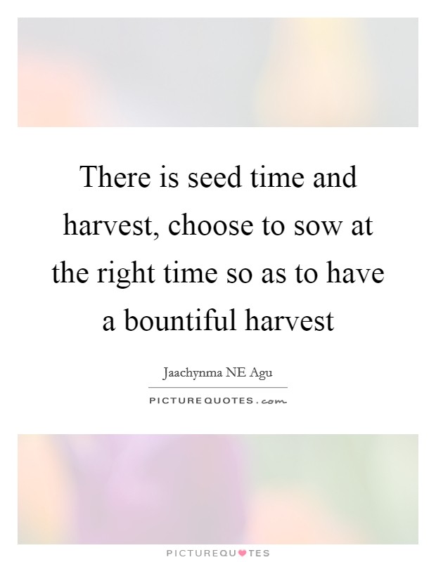 There is seed time and harvest, choose to sow at the right time so as to have a bountiful harvest Picture Quote #1