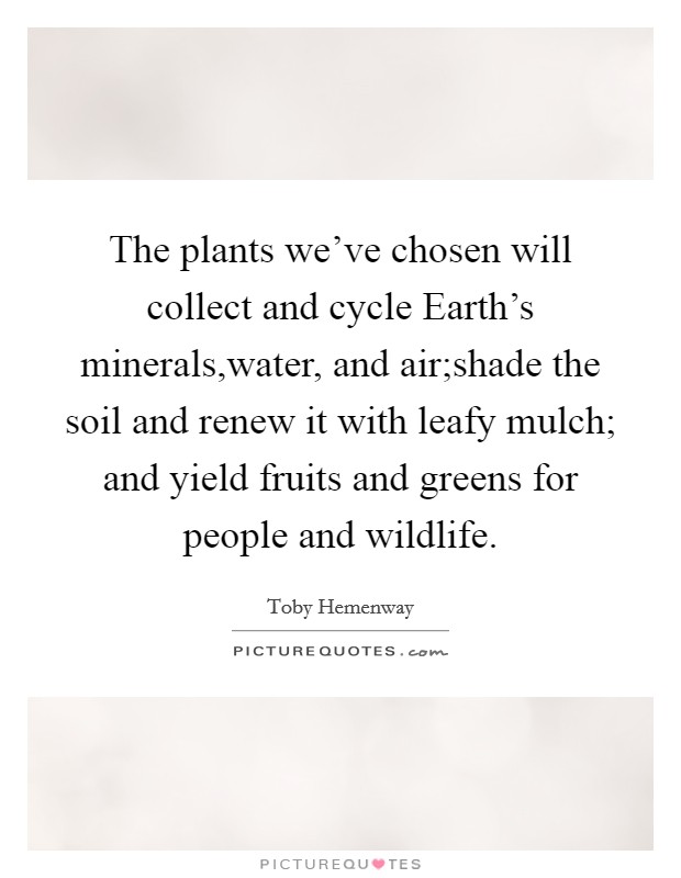 The plants we've chosen will collect and cycle Earth's minerals,water, and air;shade the soil and renew it with leafy mulch; and yield fruits and greens for people and wildlife. Picture Quote #1