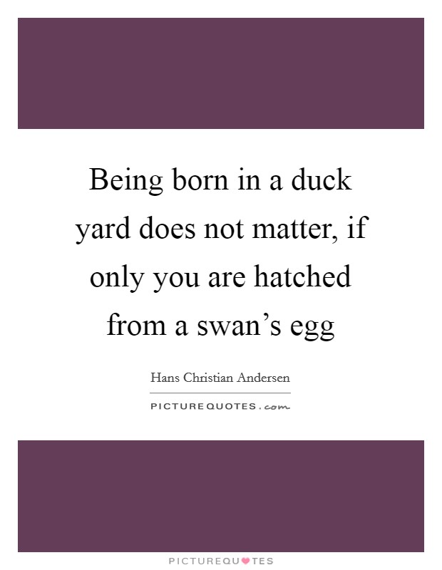 Being born in a duck yard does not matter, if only you are hatched from a swan's egg Picture Quote #1