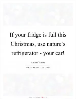 If your fridge is full this Christmas, use nature’s refrigerator - your car! Picture Quote #1