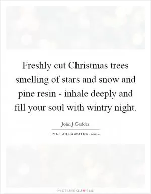 Freshly cut Christmas trees smelling of stars and snow and pine resin - inhale deeply and fill your soul with wintry night Picture Quote #1