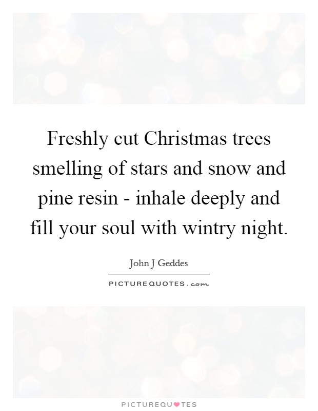 Freshly cut Christmas trees smelling of stars and snow and pine resin - inhale deeply and fill your soul with wintry night. Picture Quote #1