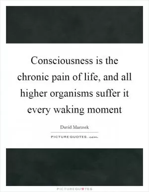 Consciousness is the chronic pain of life, and all higher organisms suffer it every waking moment Picture Quote #1
