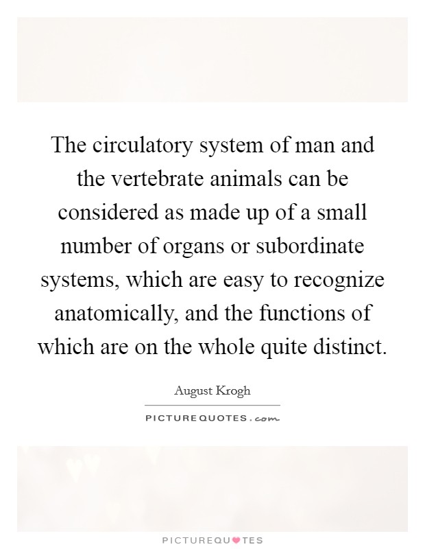 The circulatory system of man and the vertebrate animals can be considered as made up of a small number of organs or subordinate systems, which are easy to recognize anatomically, and the functions of which are on the whole quite distinct. Picture Quote #1