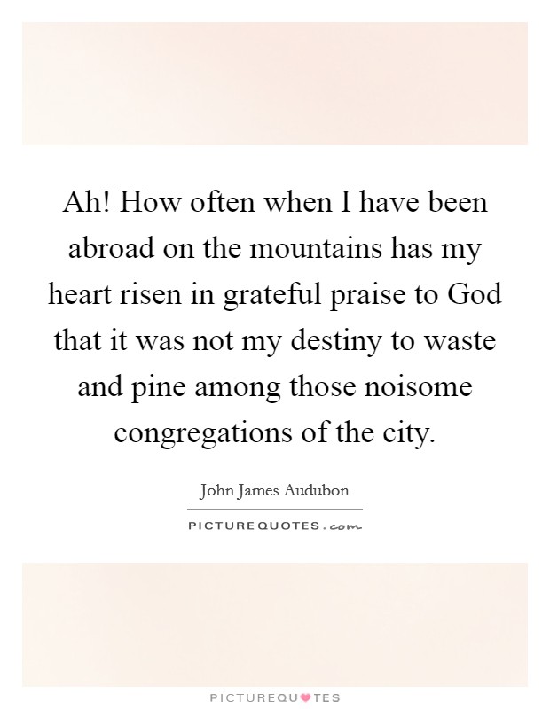 Ah! How often when I have been abroad on the mountains has my heart risen in grateful praise to God that it was not my destiny to waste and pine among those noisome congregations of the city. Picture Quote #1