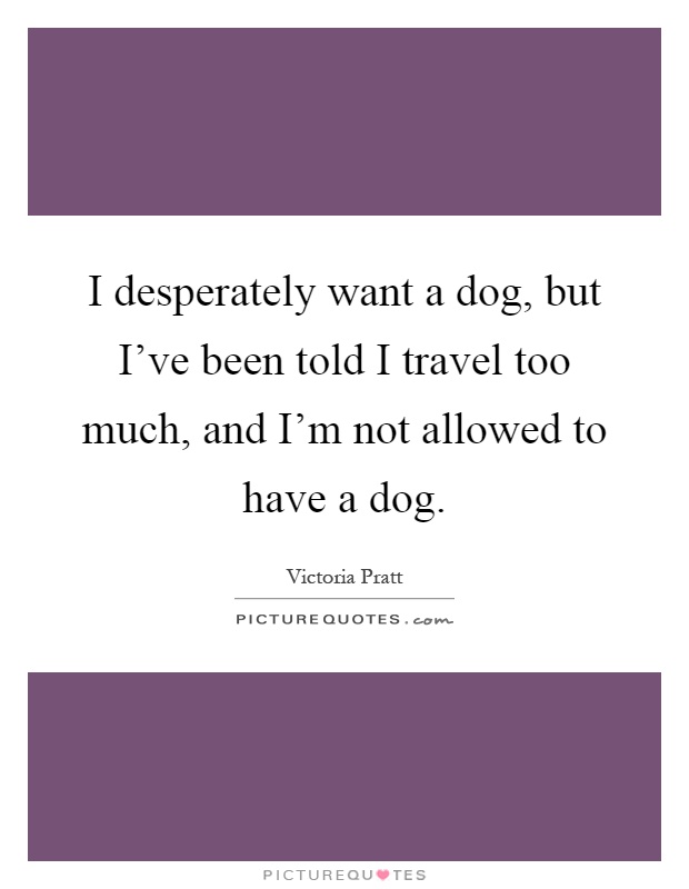 I desperately want a dog, but I've been told I travel too much, and I'm not allowed to have a dog Picture Quote #1