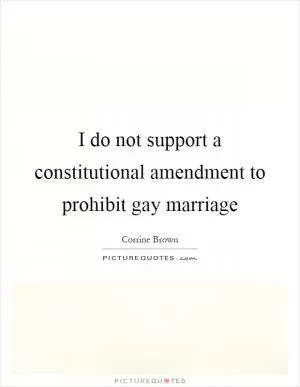 I do not support a constitutional amendment to prohibit gay marriage Picture Quote #1