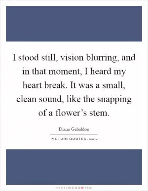 I stood still, vision blurring, and in that moment, I heard my heart break. It was a small, clean sound, like the snapping of a flower’s stem Picture Quote #1
