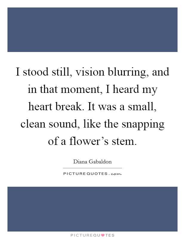 I stood still, vision blurring, and in that moment, I heard my heart break. It was a small, clean sound, like the snapping of a flower's stem. Picture Quote #1