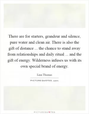 There are for starters, grandeur and silence, pure water and clean air. There is also the gift of distance ... the chance to stand away from relationships and daily ritual ... and the gift of energy. Wilderness infuses us with its own special brand of energy Picture Quote #1