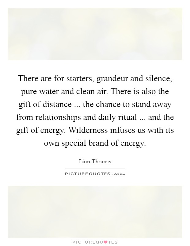 There are for starters, grandeur and silence, pure water and clean air. There is also the gift of distance ... the chance to stand away from relationships and daily ritual ... and the gift of energy. Wilderness infuses us with its own special brand of energy. Picture Quote #1