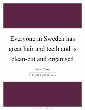 Everyone in Sweden has great hair and teeth and is clean-cut and organised Picture Quote #1