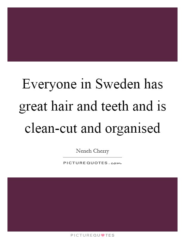 Everyone in Sweden has great hair and teeth and is clean-cut and organised Picture Quote #1