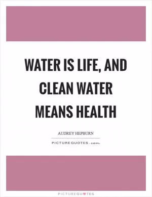 Water is life, and clean water means health Picture Quote #1