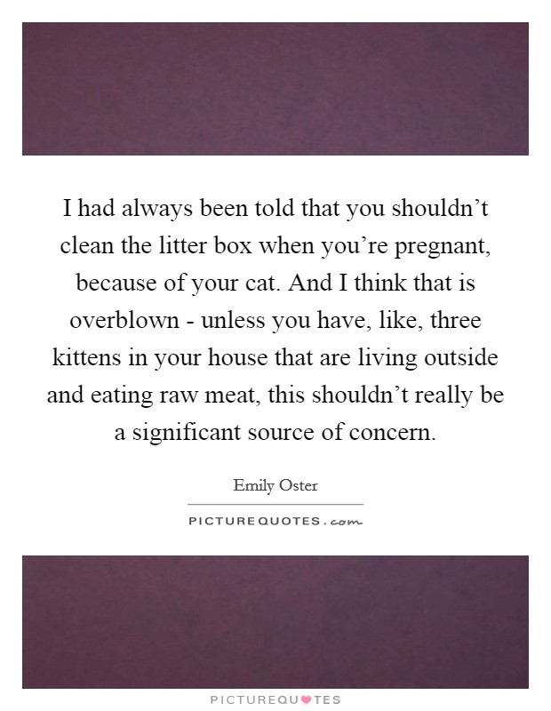 I had always been told that you shouldn't clean the litter box when you're pregnant, because of your cat. And I think that is overblown - unless you have, like, three kittens in your house that are living outside and eating raw meat, this shouldn't really be a significant source of concern. Picture Quote #1