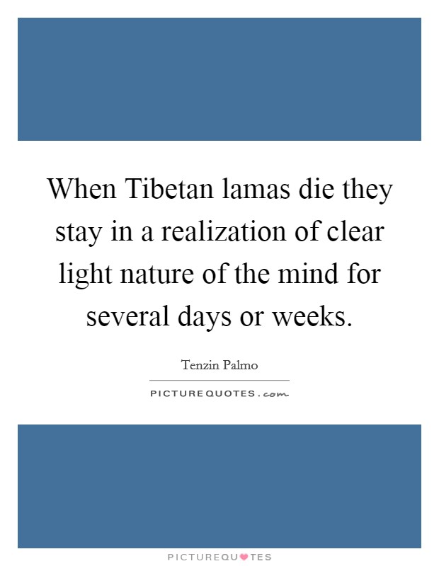 When Tibetan lamas die they stay in a realization of clear light nature of the mind for several days or weeks Picture Quote #1