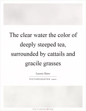 The clear water the color of deeply steeped tea, surrounded by cattails and gracile grasses Picture Quote #1