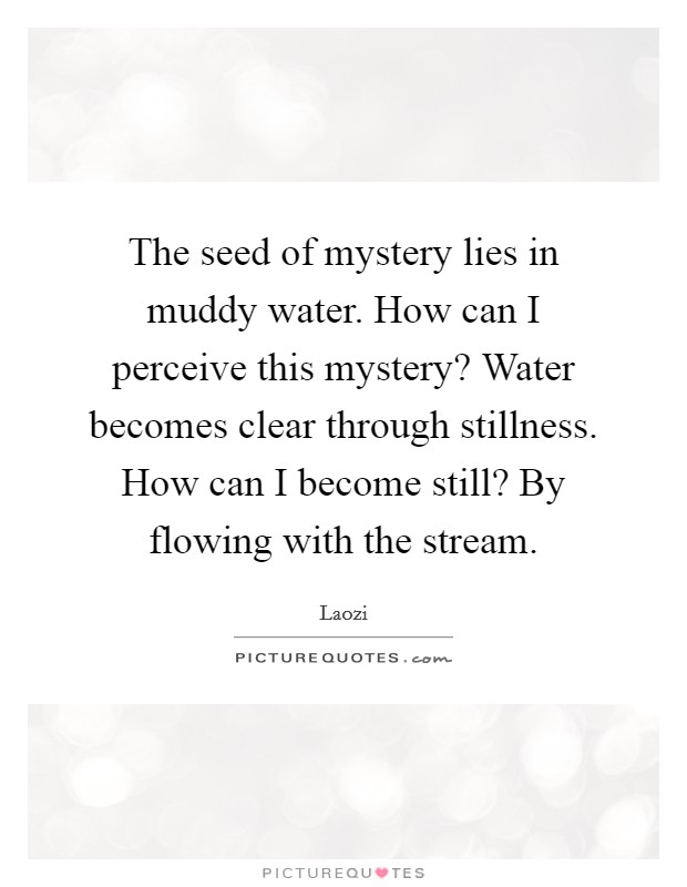 The seed of mystery lies in muddy water. How can I perceive this mystery? Water becomes clear through stillness. How can I become still? By flowing with the stream. Picture Quote #1