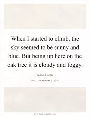 When I started to climb, the sky seemed to be sunny and blue. But being up here on the oak tree it is cloudy and foggy Picture Quote #1